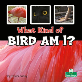 What Kind of Bird Am I? WHAT KIND OF BIRD AM I [ Taylor Farley ]