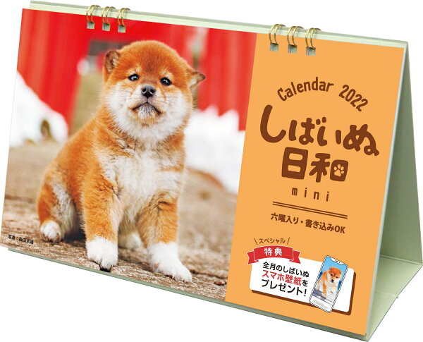 しばいぬ日和miniカレンダー 22 本 楽天ブックス しばいぬ日和miniカレンダー 22 本 楽天ブックス