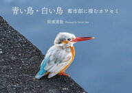 青い鳥・白い鳥 都市部に棲むカワセミ [ 間瀬 憲隆 ]
