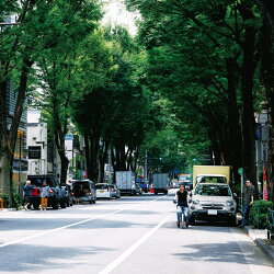 The Ordinary Road (初回限定盤B CD＋Blu-ray)
