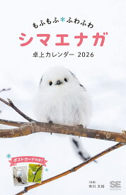 【デジタル特典】もふもふふわふわシマエナガ 卓上カレンダー 2026 ポストカード付き(スマートフォン用壁紙) （翔泳社カレンダー） [ 市川 太将 ]