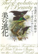 美の進化
