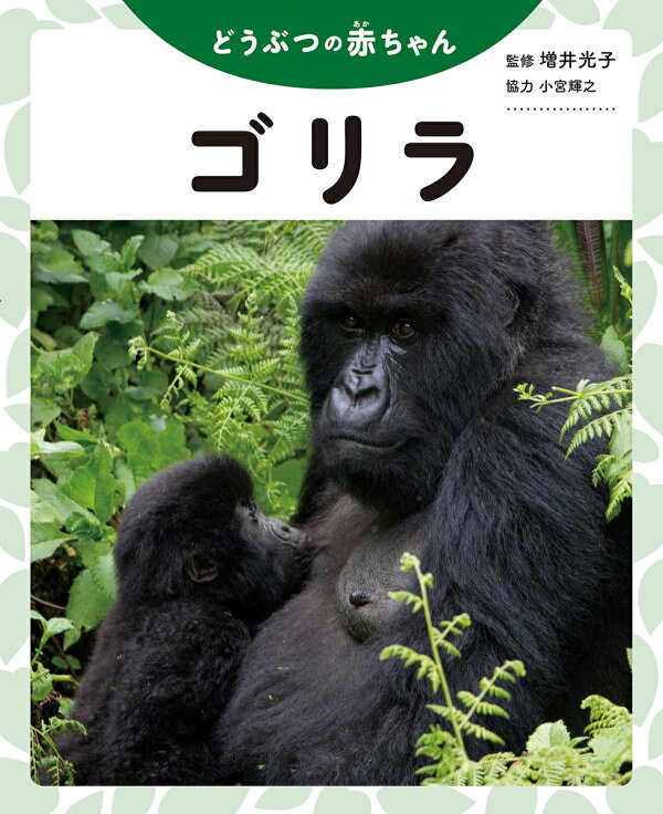 楽天ブックス: ゴリラ - 増井光子 - 9784323052175 : 本