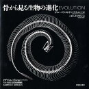 骨から見る生物の進化