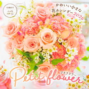 �ץ��ե� ���襤�������ʲ֥������� 2026