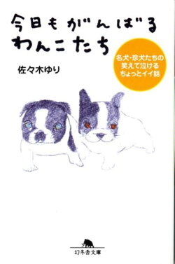 楽天ブックス 今日もがんばるわんこたち 名犬 珍犬たちの笑えて泣けるちょっとイイ話 佐々木ゆり 本