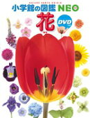 小学館の図鑑NEO 花 DVDつき