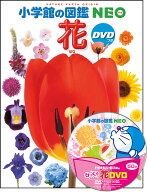 小学館の図鑑NEO 花 DVDつき [ 多田 多恵子 ]