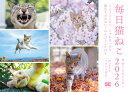 【デジタル特典】毎日猫ねこ 日めくりカレンダー 2026(スマートフォン用壁紙)