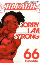 BLEACH 66
