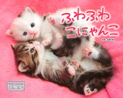 �դ�դ盧�ˤ��