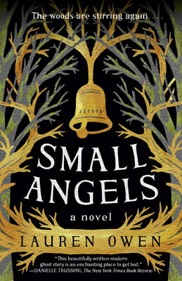 楽天ブックス: Small Angels - Lauren Owen - 9780593242223 : 洋書