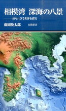 相模湾深海の八景