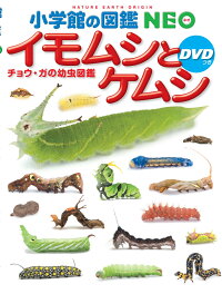 小学館の図鑑NEO イモムシとケムシ DVDつき　チョウ・ガの幼虫図鑑　（小学館の図鑑 NEO）