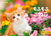 ��դ�դ��ͤ�