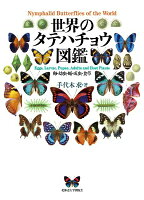 世界のタテハチョウ図鑑 卵・幼虫・蛹・成虫・食草