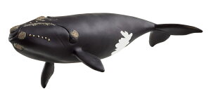 yVCqz@^CZCEZ~NW@Wild Life@^ChCt@14878