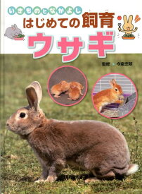楽天市場 うさぎ 図鑑 ちしき 絵本 児童書 図鑑 本 雑誌 コミックの通販