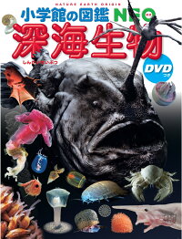 楽天ブックス 深海生物 Dvdつき 藤原 義弘 本