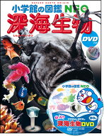 深海生物 DVDつき （小学館の図鑑NEO） [ 藤原 義弘 ]