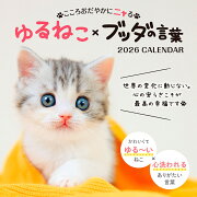 �����������䤫�˥˥�� ���ͤ��ߥ֥å��θ���