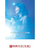 【先着特典】40th Anniversary FINAL 碧い記憶/紅の想い(A4クリアファイル)