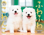 �դ�դ盧���