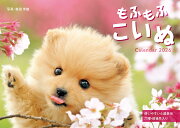 ��դ�դ�����