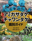 アミガサタケ・チャワンタケ識別ガイド