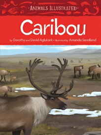 Animals Illustrated: Caribou ANIMALS ILLUS CARIBOU ENGLISH/ （Animals Illustrated） [ Dorothy Aglukark ]