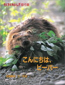 こんにちは、ビーバー