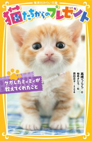 猫たちからのプレゼント ケガしたミィミィが教えてくれたこと ケガしたミィミィが教えてくれたこと （集英社みらい文庫） [ 柚希きひろ ]