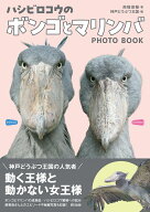 ハシビロコウのボンゴとマリンバ [ 南幅俊輔 ]