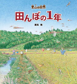 田んぼの1年 （里山の自然） [ 瀬長 剛 ]
