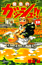 楽天ブックス: 金色のガッシュ!! 完全版(10) - 雷句 誠