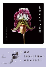 楽天市場 沖縄 植物 図鑑の通販
