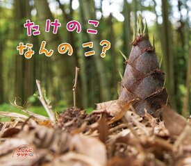 楽天市場 たけのこ 絵本の通販