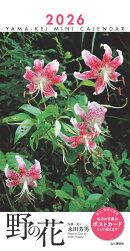 カレンダー2026 ミニカレンダー 野の花（月めくり/卓上・リング）