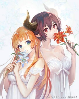 �ޥʥꥢ�ե�� II��Blu-ray��