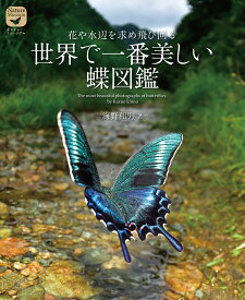 世界で一番美しい蝶図鑑 花や水辺を求め飛び回る （ネイチャー・ミュージアム） [ 海野 和男 ]