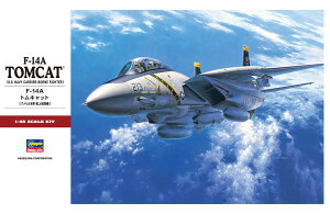1/48 F-14A gLbg yPT46z (vf)