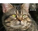 岩合光昭　ねこ　weekly　calendar　2021