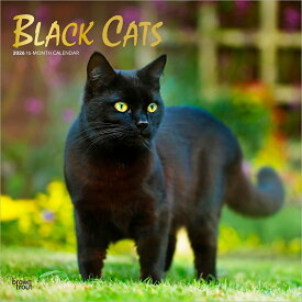 黒猫 2026年 カレンダー / ブラウントラウト 輸入版 壁掛け 30.5 x 61 cm (Black Cats Calendar)