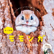 �������� ���� CALENDAR 2026