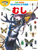 なぜ？どうして？はじめてのこども図鑑　むし