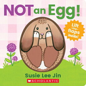 Not an Egg! (a Lift-The-Flap Book) NOT AN EGG (A LIFT-THE-FLAP BO [ Susie Lee Jin ]