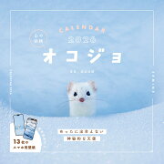 �������� �������� CALENDAR 2026