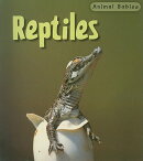 Reptiles