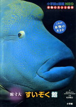 楽天ブックス 小学館の図鑑neo 本物の大きさ絵本 原寸大 すいぞく館 さかなクン 本
