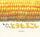 みっちりつぶつぶ　とうもろこし